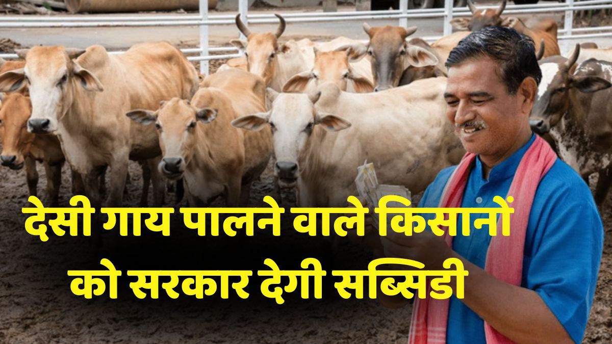 Cow Subsidy Scheme